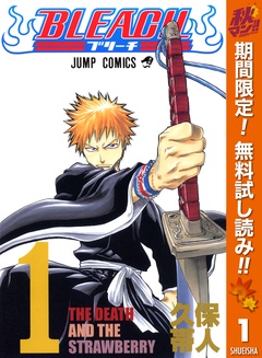 BLEACH モノクロ版【期間限定無料】