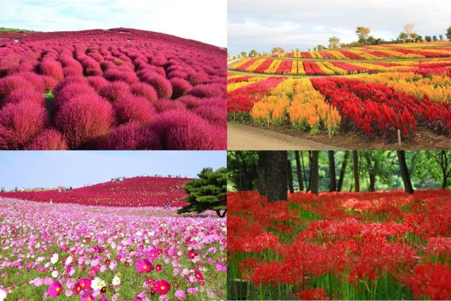 Sns映え間違いなし 秋の旅行におすすめしたい 絶景スポット3選 19年9月7日 特集 レポート クランクイン トレンド